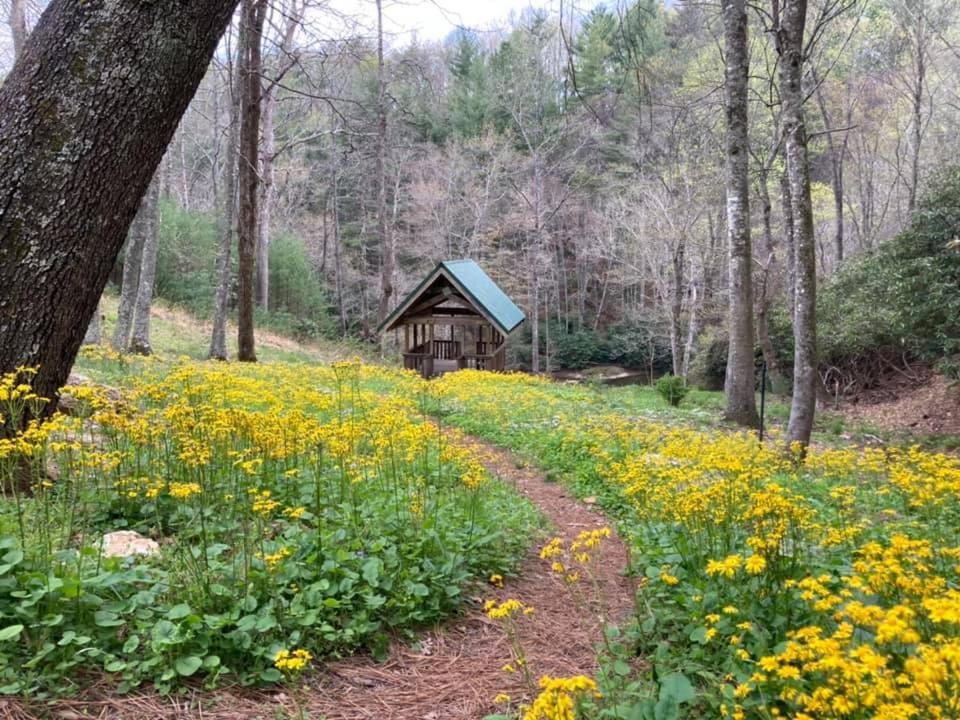 Little River Cabin スパルタ エクステリア 写真
